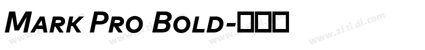 Mark Pro Bold字体转换